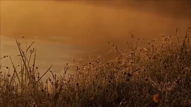 "Ива ивушка" на стихи В. Филатова в исполнении Ю. Бечина смотреть онлайн