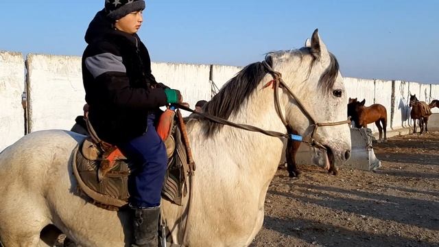 Халмион Мал Базары Кадамжай району 14-январь 2022жыл смотреть онлайн