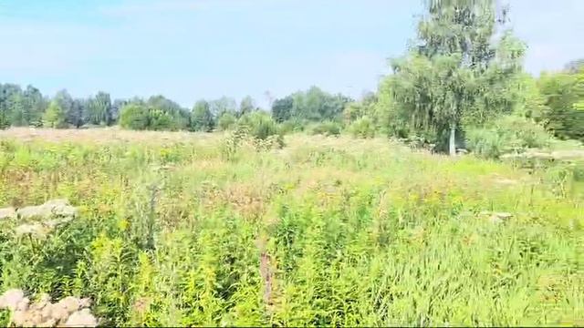 Видео ЗУ :61 Солнечногорск ЦМИС смотреть онлайн