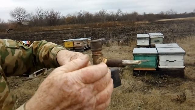 Обработка пчел Щавелевой кислотой