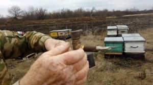 Обработка пчел Щавелевой кислотой