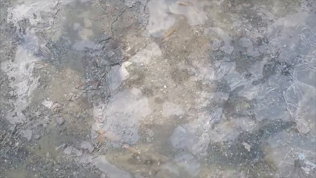 А с мороза взятки гладки! смотреть онлайн