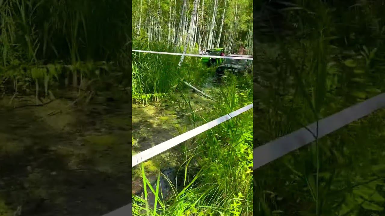 Сапожковский уезд)