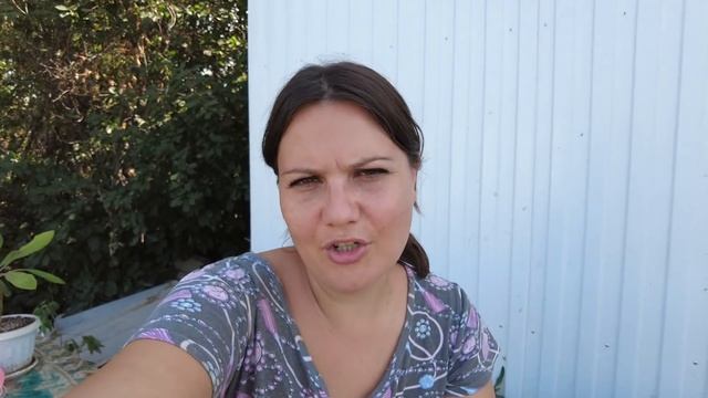 Форсайт - сессия / Прогулка всей семьей / Залили пол.. смотреть онлайн