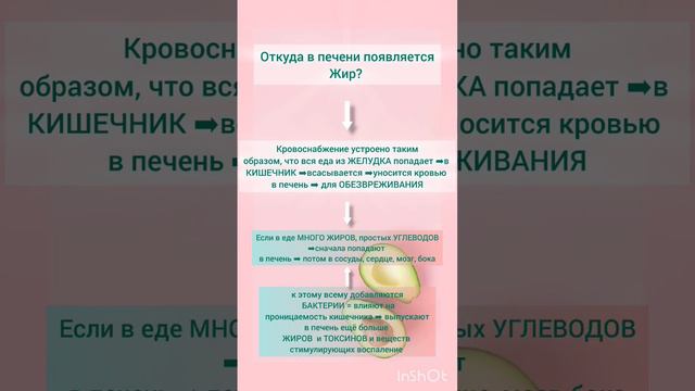 Откуда в печени появляется жир/жировой гепатоз #жирнаживоте смотреть онлайн