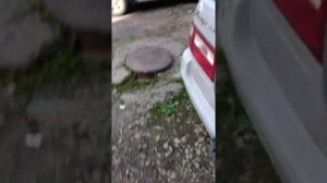 Чистим.К.Х.Х NISSAN PRESAGE