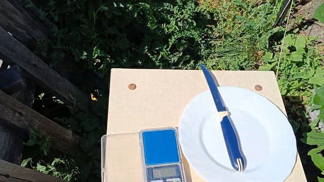 Инжир сорт Святой Мартин смотреть онлайн