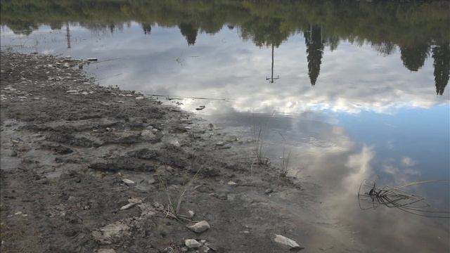 Шелковичиха начало осени 10 09 22 смотреть онлайн