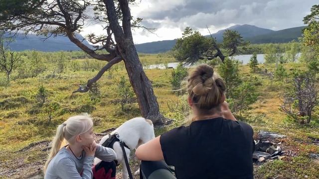 Abisko Nationalpark: Das Ultimative Abenteuer In Der Schwedischen Wildnis 2023