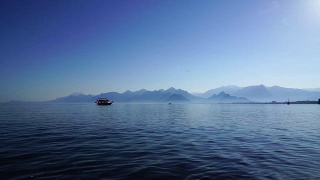 Сборник - NRJ Hits 2022 Vol.1 смотреть онлайн