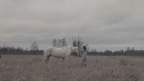 Liza Summer - Серебро (Би-2 cover)