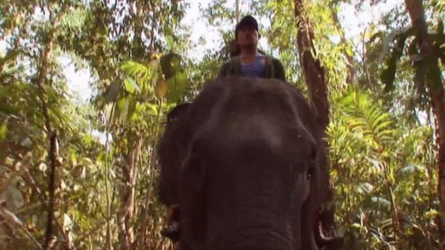 Exploring Myanmar's Untouched Ancient Temples | Burma Road Documentary | Timeline смотреть онлайн