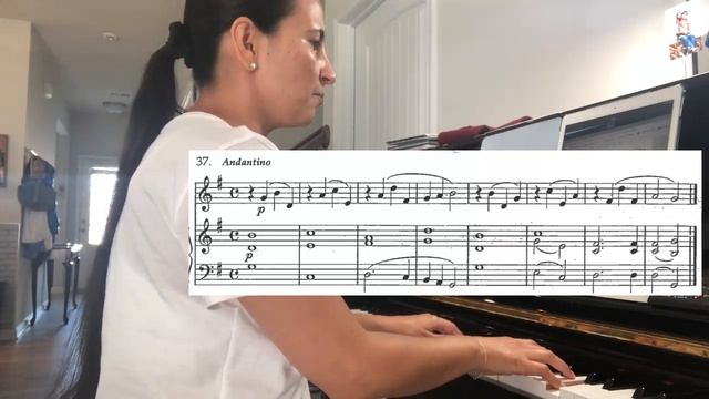 CA 37 смотреть онлайн