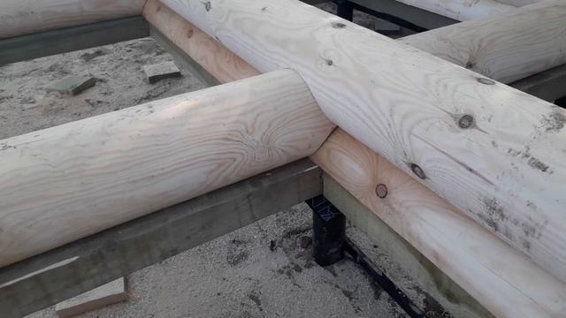 Как правильно начать собирать дом из оцилиндрованного бревна