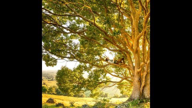 Музыка для расслабления, вдохновения и творчества, медитации. Relax Music смотреть онлайн