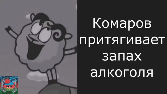 Путешествия с Домашними Питомцами
