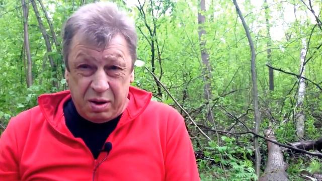 СОБАКА-КАК СПЕЦСРЕДСТВО ДЛЯ ЛИЧНОГО ПОЛЬЗОВАНИЯ.Дрессировка ротвейлера смотреть онлайн