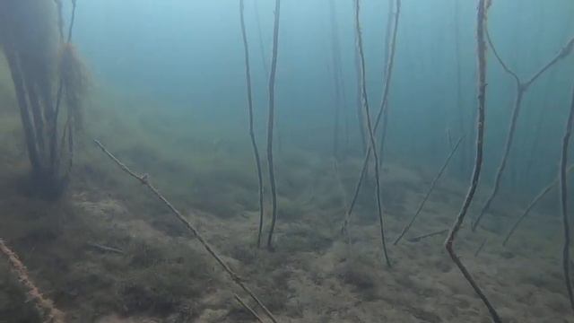 2020.10.03. Спас-Каменка. Встреча с местной хозяйкой. смотреть онлайн