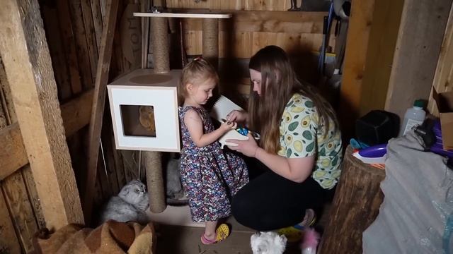 НОЧЬ В САРАЕ С КОТАМИ | ПУГАЛО ХОЧЕТ ПОИГРАТЬ