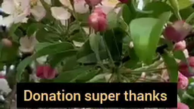 ayatul kursi 4 Qul surah Fatiha (Episode 551) 7 Taims repeat with Arabic Text beautiful (Arsh)#ayat смотреть онлайн