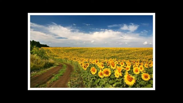 Россия наша РОДИНА