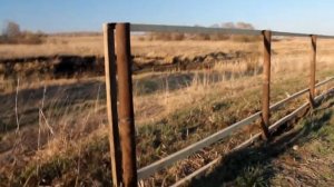 Забор для пчел.