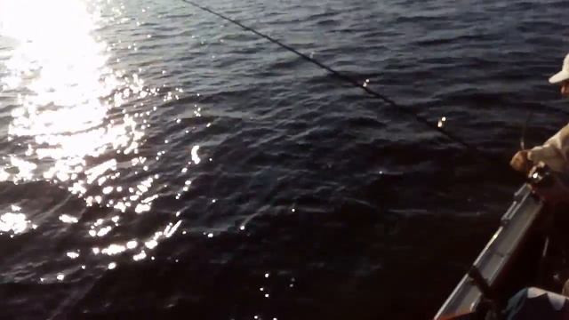 Ловля жереха троллингом на Волге смотреть онлайн