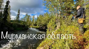 ДИКАЯ ФОРЕЛЬ НА СПИННИНГ. Рыбалка в Мурманской области ч. 2