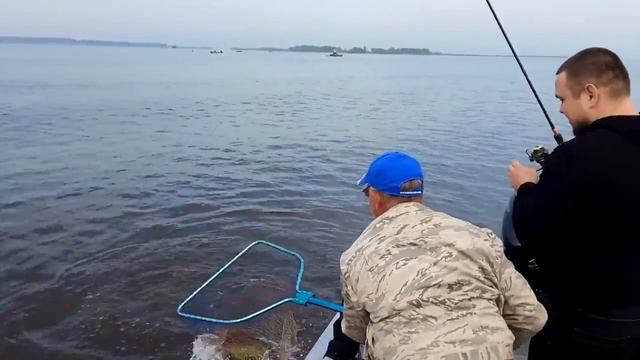 Кама. Чистополь. Догад. Кубасы. Каменный. смотреть онлайн