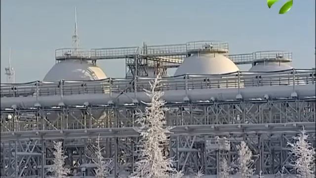 Новоуренгойский завод перерабатывает по 4 млн. тонн конденсата в год смотреть онлайн