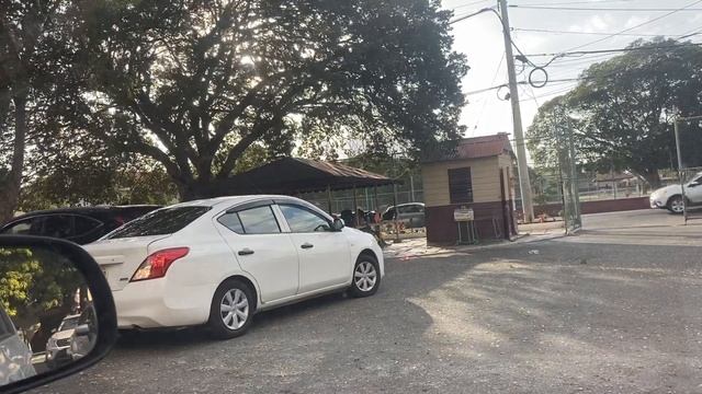 Olivia the Oracle’s empty issue смотреть онлайн