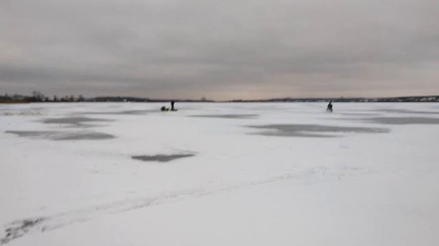 Иноходец и Горнозавр смотреть онлайн