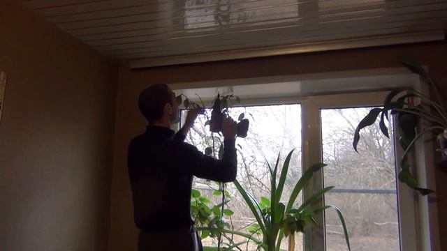 мечты сбываются стройка продолжается, подарок теще от любимого василька смотреть онлайн