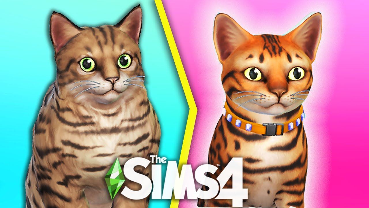 The Sims 4 НОВЫЕ ПИТОМЦЫ | ОТДЫХ НА ОСТРОВАХ смотреть онлайн