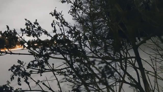 VID 20230304 215844 Ямб 1878 (Михай Эминеску)...Павел Васильев Лахтинский смотреть онлайн