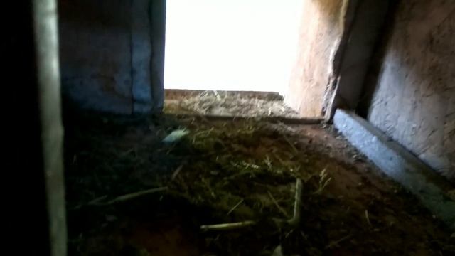 Обустройство курятника своими руками для кур цыплят и наседок.Срок эксплуатации уже 4 год смотреть онлайн