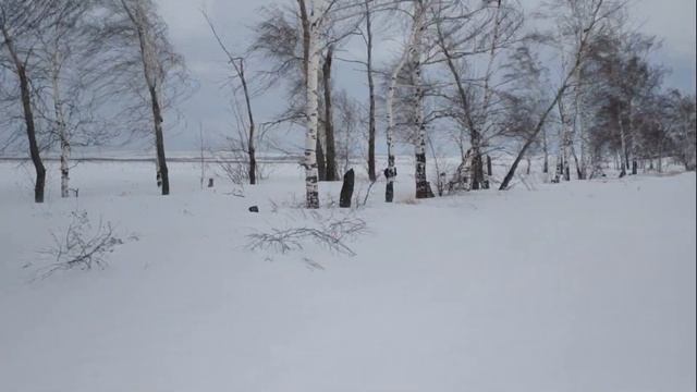 Покатушки на снегоходах. Встретили кабана. Зима 2018-2019. смотреть онлайн