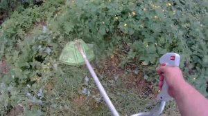 КОСИМ ТРАВУ  ВЫСАЖИВАЕМ ПЕТУНИИ