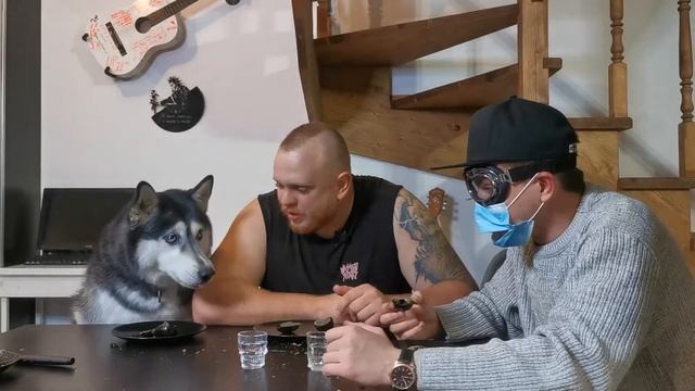 ПРОБУЕМ СТОЛЕТНИЕ ЯЙЦА С ХАСКИ