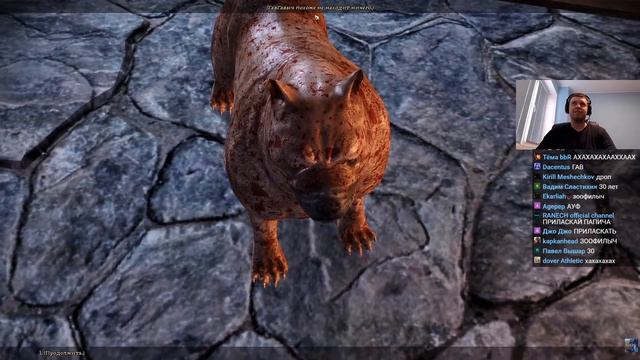 Папич играет в Dragon Age Origins! На чем весят мечи? 2 смотреть онлайн