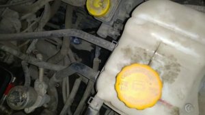 Как устранить СКРИП рычага МКПП?