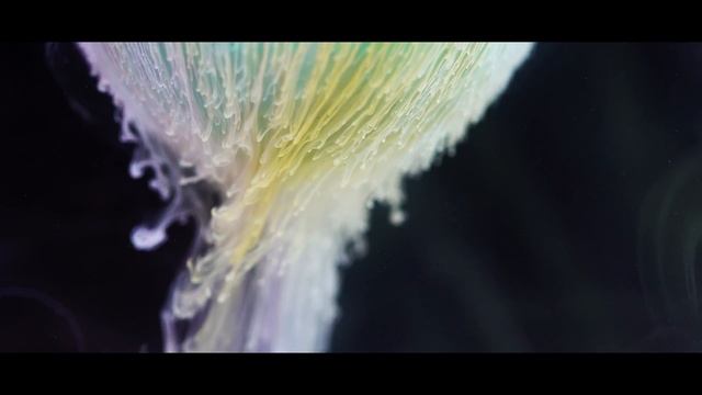#zomradPRO Group | 4K | colorful acrylic inks смотреть онлайн