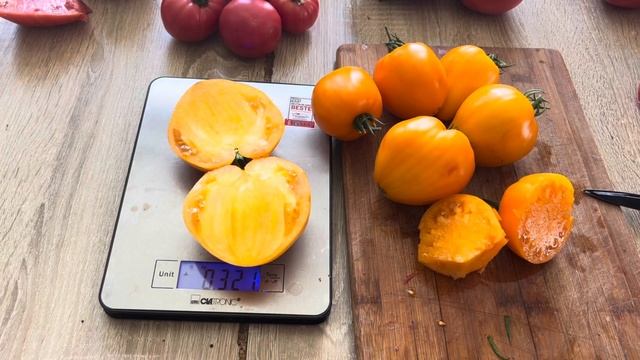 Вкусная дегустация томатов. Новые сорта, новые впечатления. смотреть онлайн