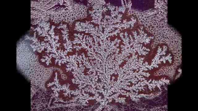 Зимние узоры смотреть онлайн