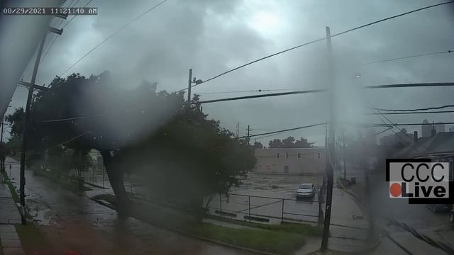 Hurricane Ida New Orleans city Street Camera Live Stream Webcam смотреть онлайн
