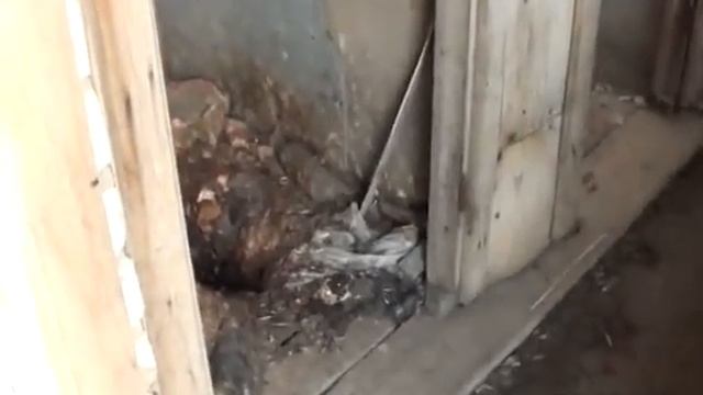 целый поселок в Ульяновске может сползти в Волгу смотреть онлайн