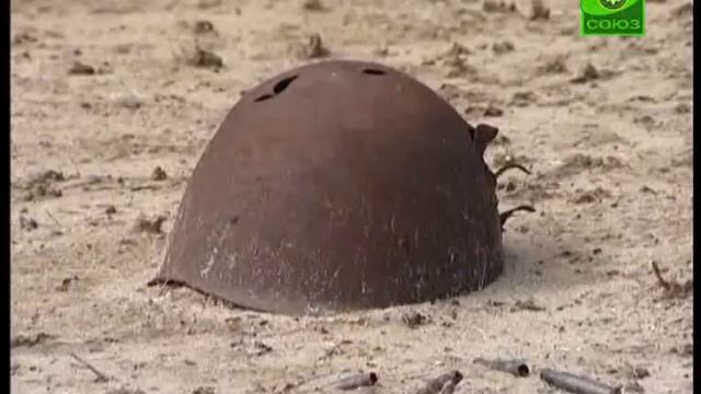 лагерь в Ленинградской области смотреть онлайн