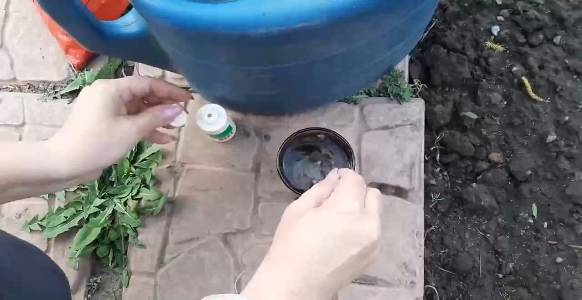 Эта подкормка увеличит размер клубники. Вносим в Мае, прет прямо на глазах. смотреть онлайн