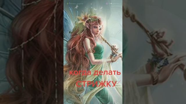 СТРИЖКА. КОГДА ЛУЧШЕ ДЕЛАТЬ СТРИЖКУ смотреть онлайн