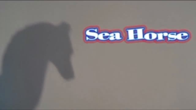 My Most Amazing Shadow Puppets смотреть онлайн